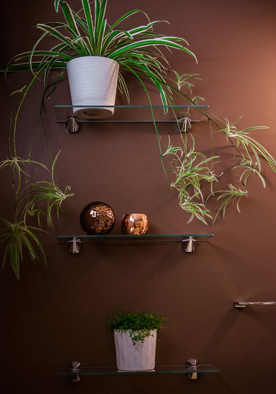 Brown Bathroom Shelving with Plants