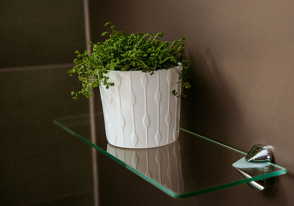 Brown Bathroom green plant in white vase